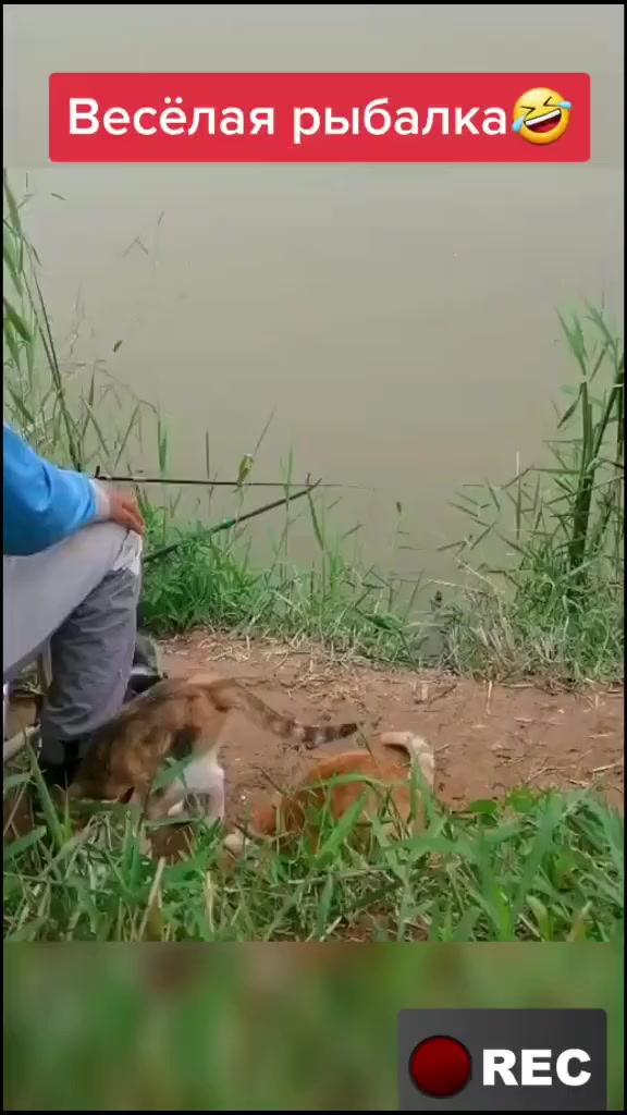 @Лариса
