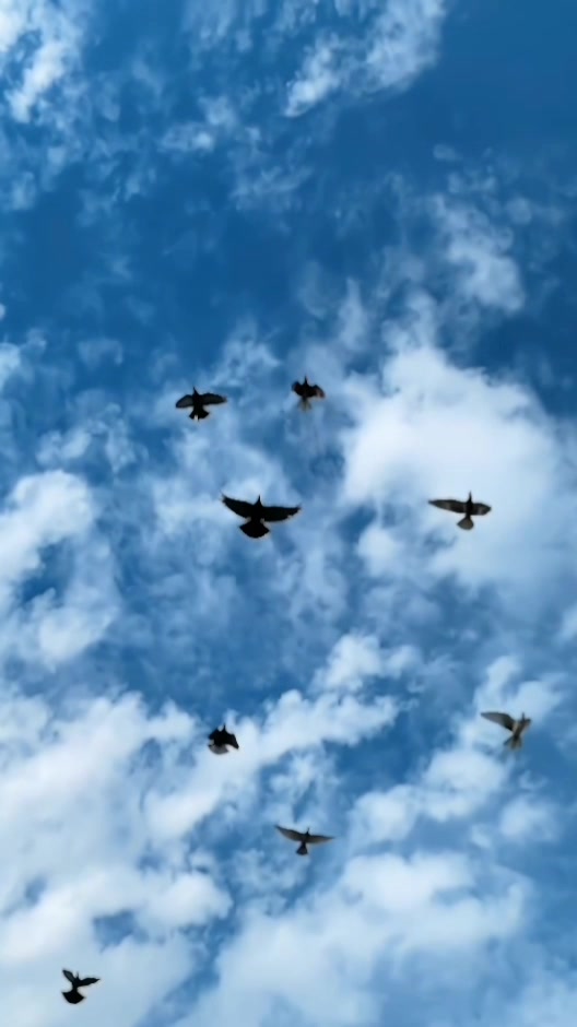 @𝐒𝐞𝐞𝐦𝐚