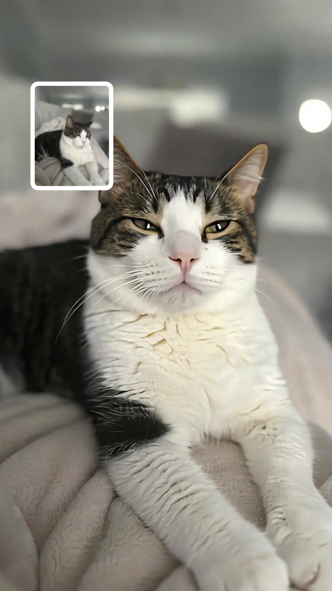 @SeeLifeThruUs✈️🌎🚘🐈&zwj;⬛🍳