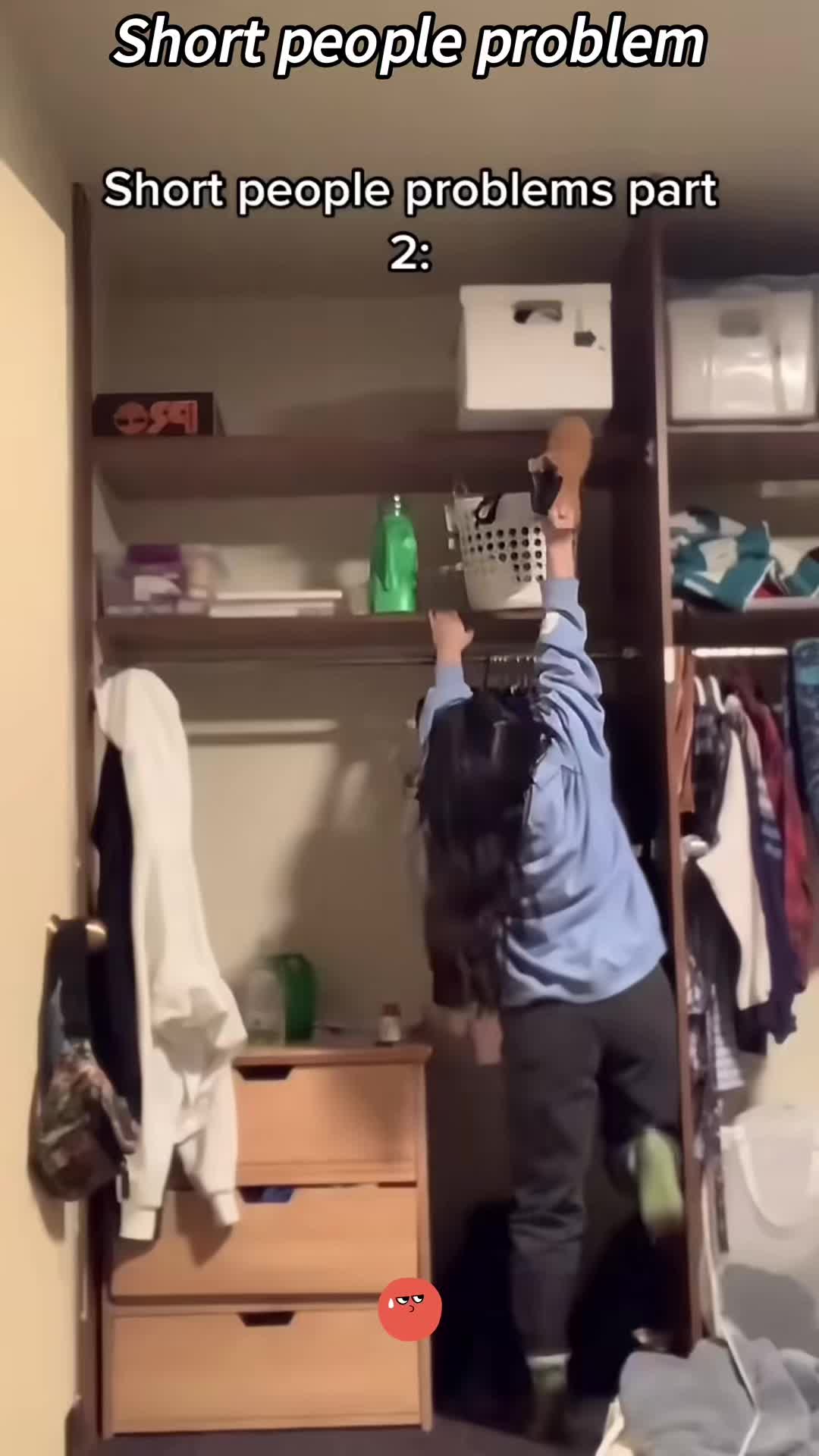 @Funny.house.pet.Jamal