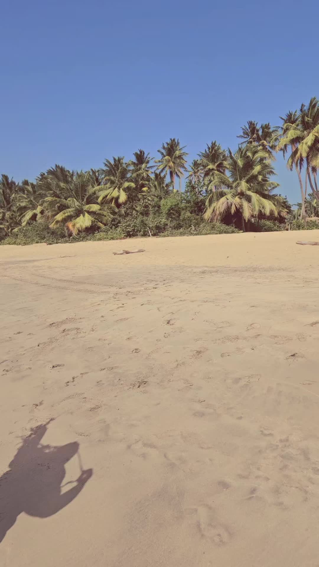 @verudomi