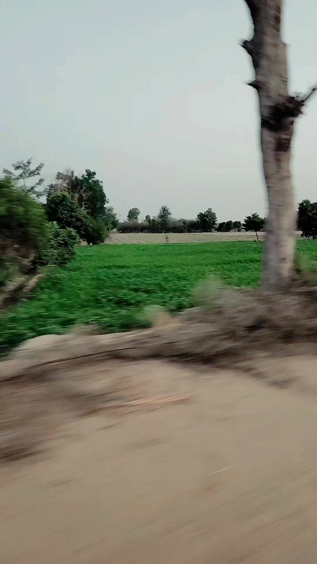 @(Akram)(kheer)(🫶)اکرم کھیر