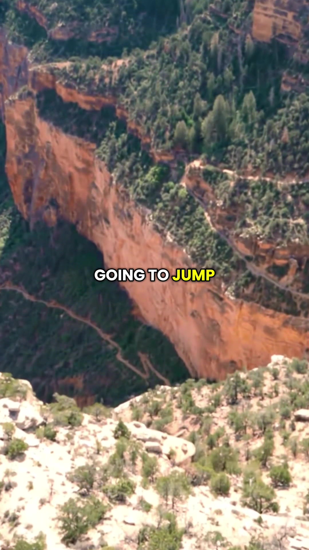 @jonnyroot_
