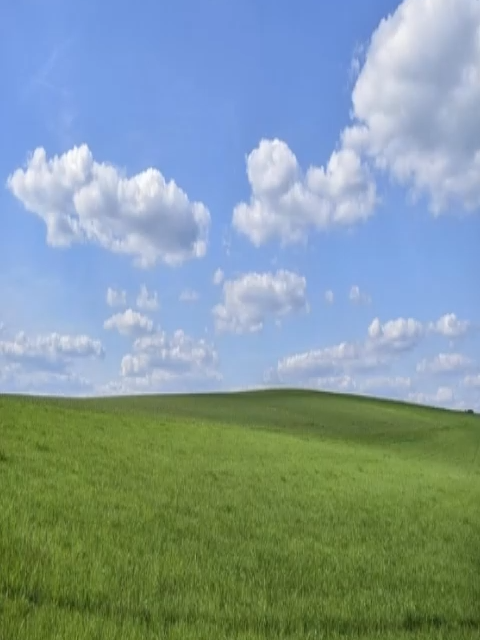 @dudeskr
