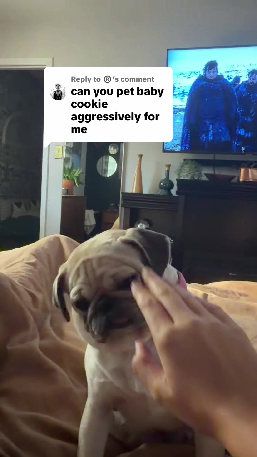 @babycookie