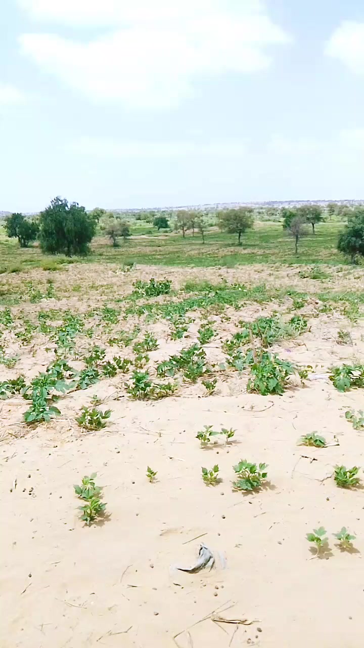 @khangar