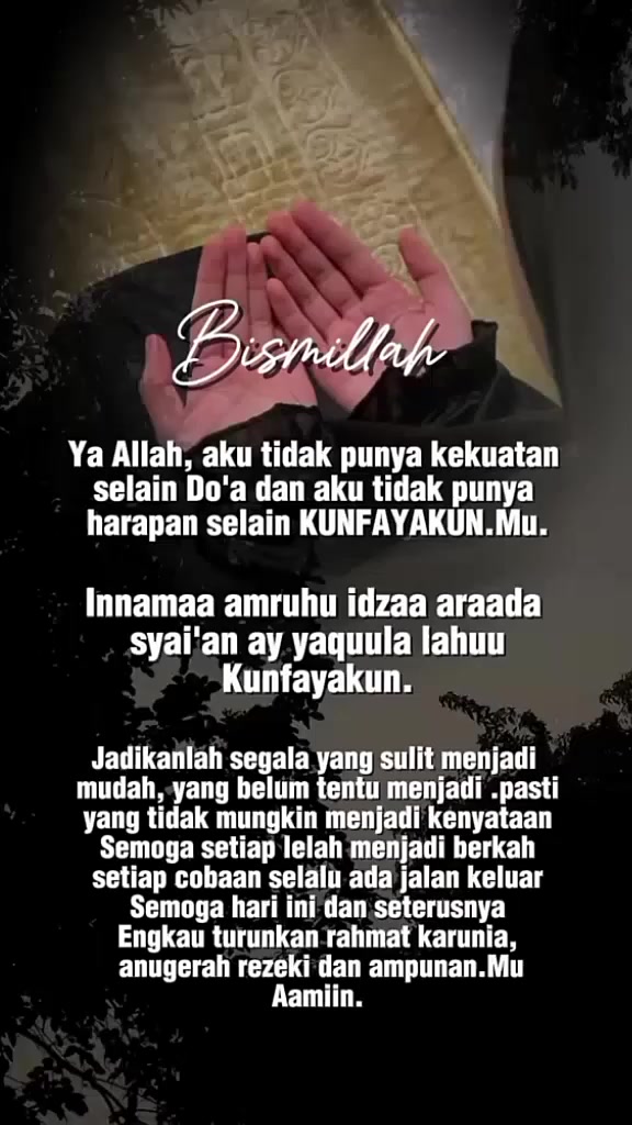 @🌷🌸 mawar Bodas🌸🌷
