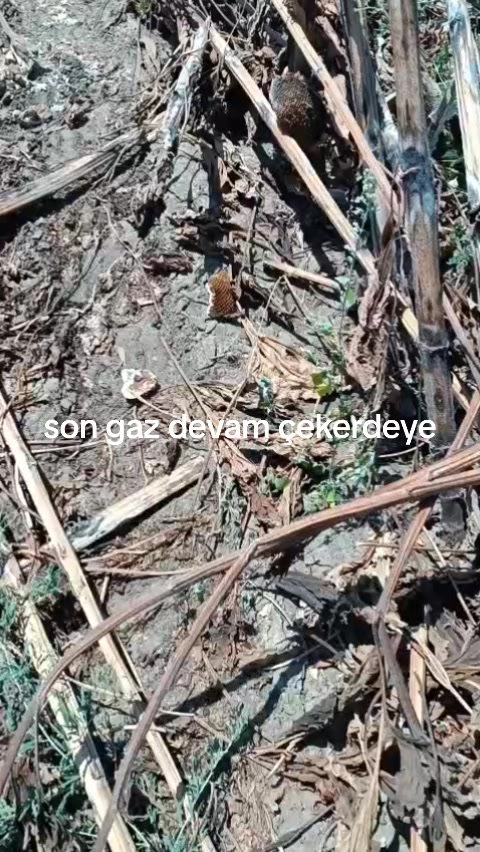 @😘😘Kocamın Kadınıyım😘😘