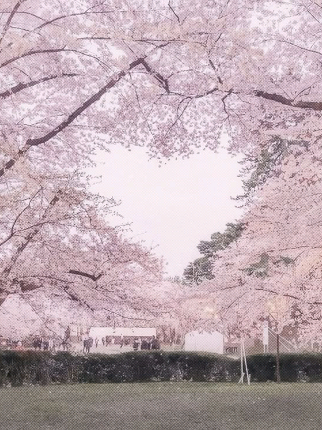 @ðžïžŽá â â¹ Ë ððžððãáðž