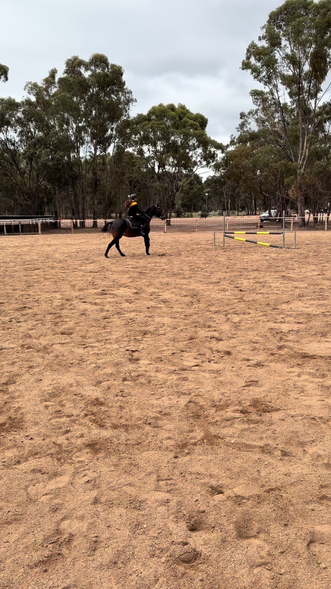 @t.equestrianxx