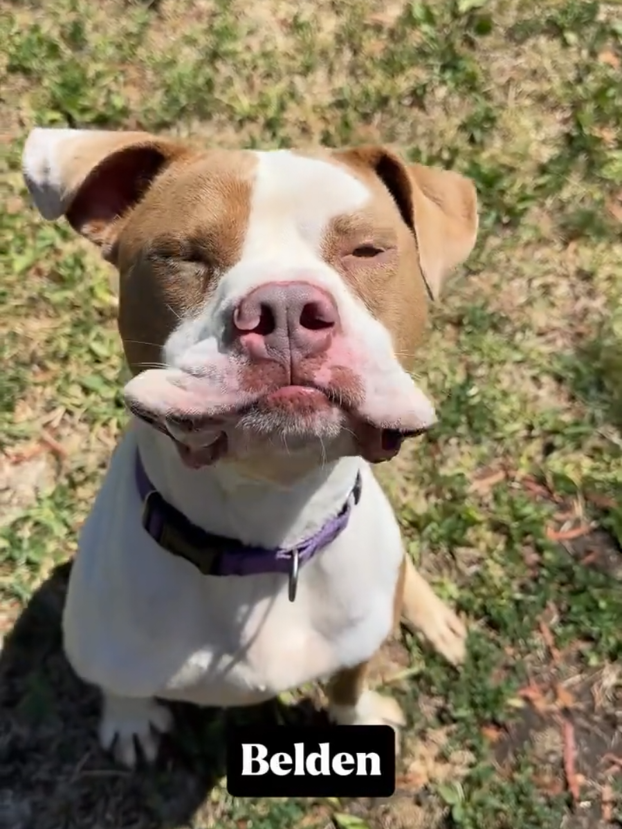 @Oakland Animal Services