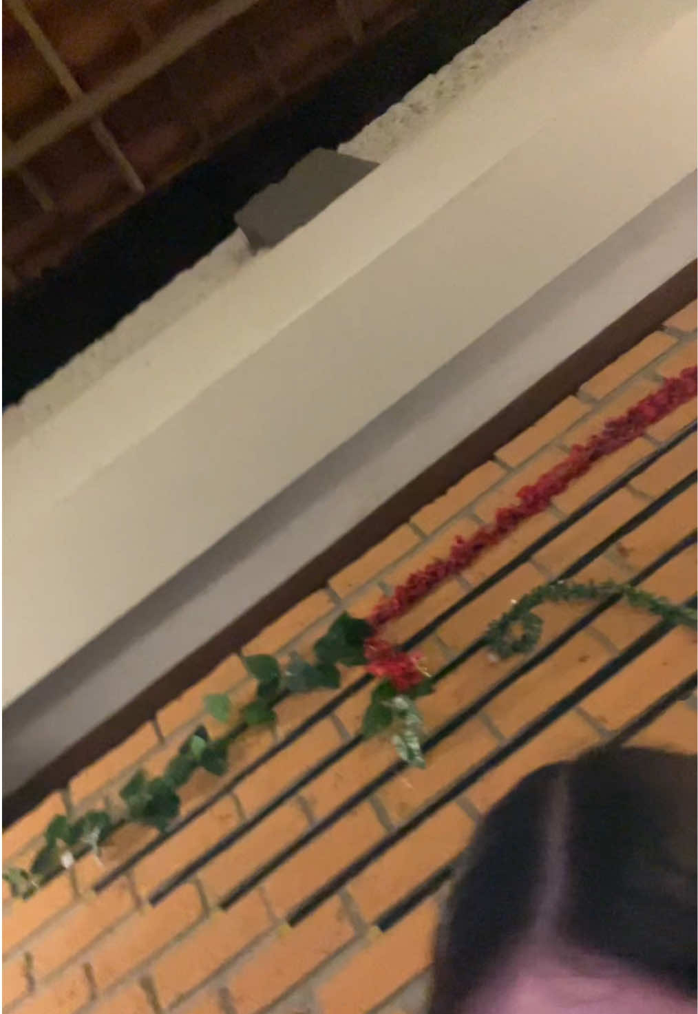 @ᴍᴀʏ