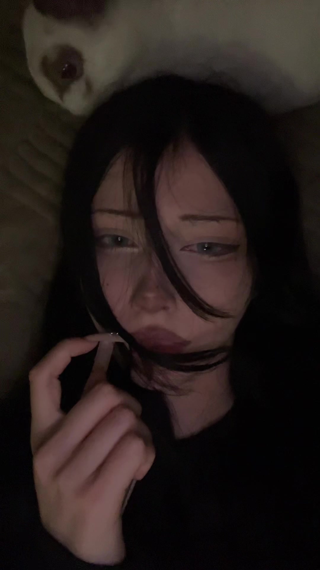 @user1337