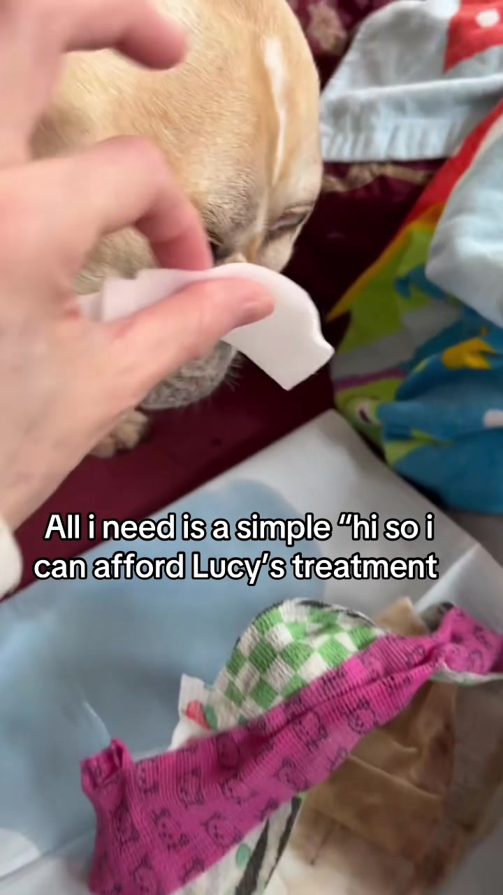 @Surgery for Lucy0