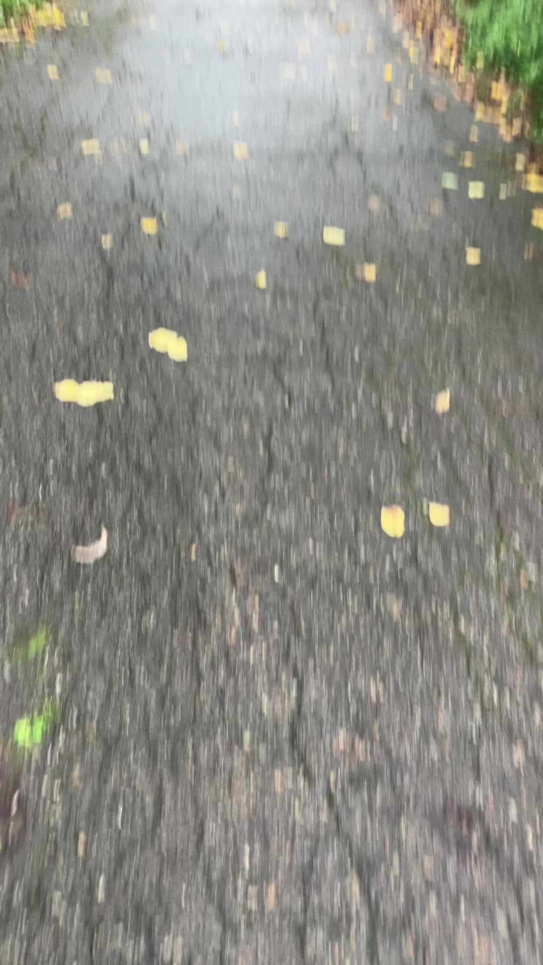 @しうん🏀夏はもう過ぎ去った