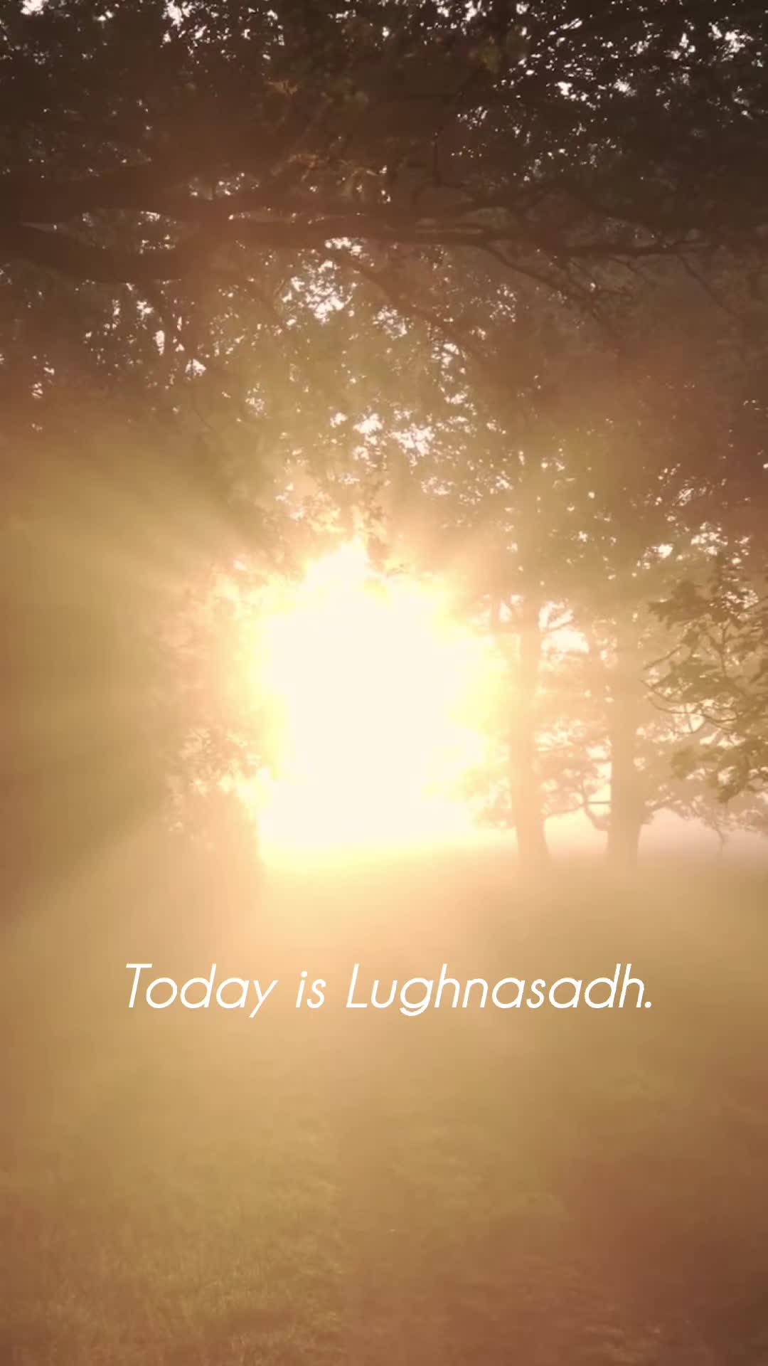 @Augustembersdesigns