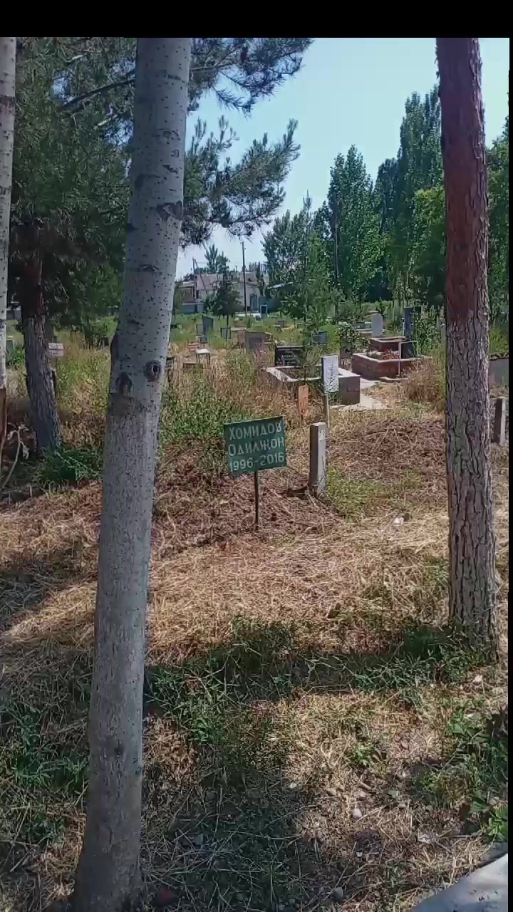 @🌎🌍🥇ГУЛИ🥇🌍🌎