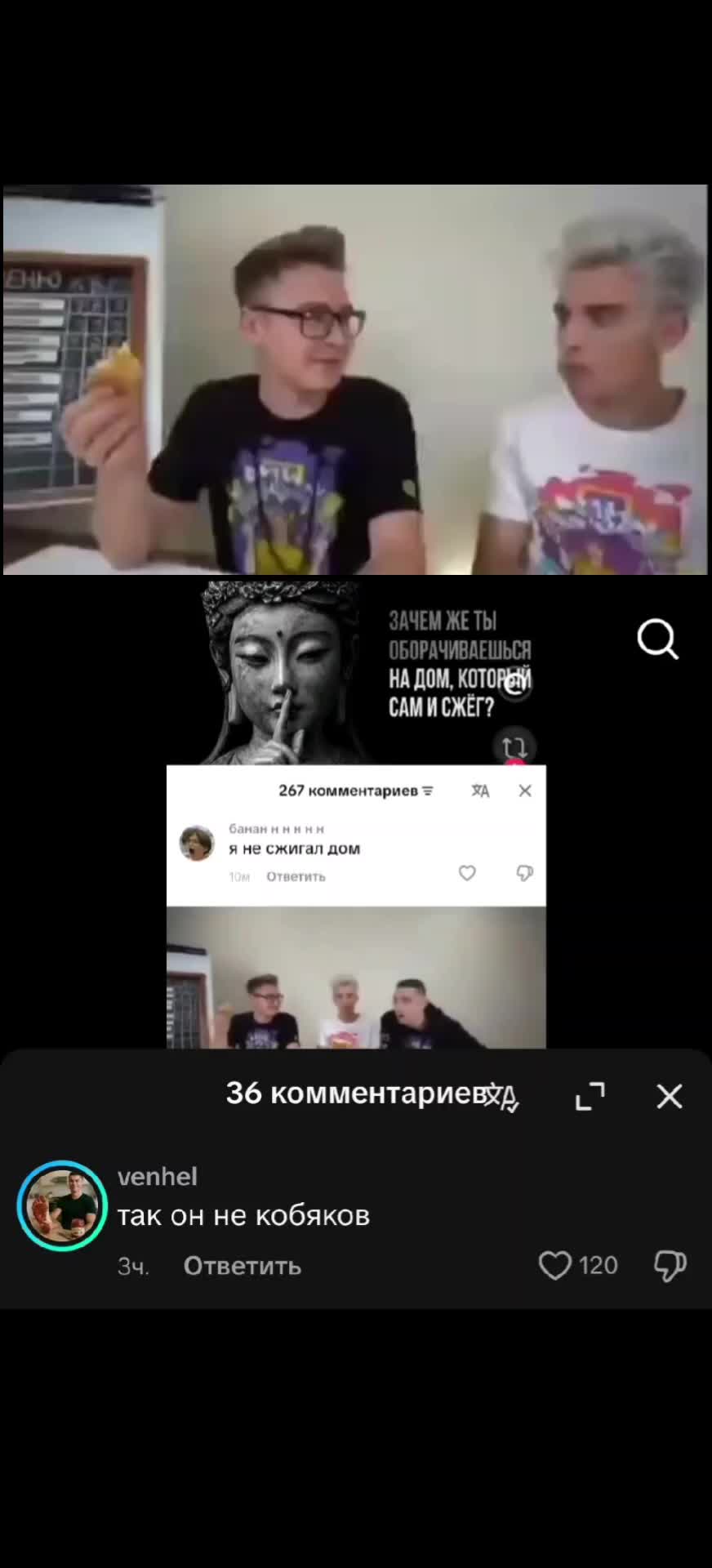 @😻🫪пчан буба🥶🥶🐢