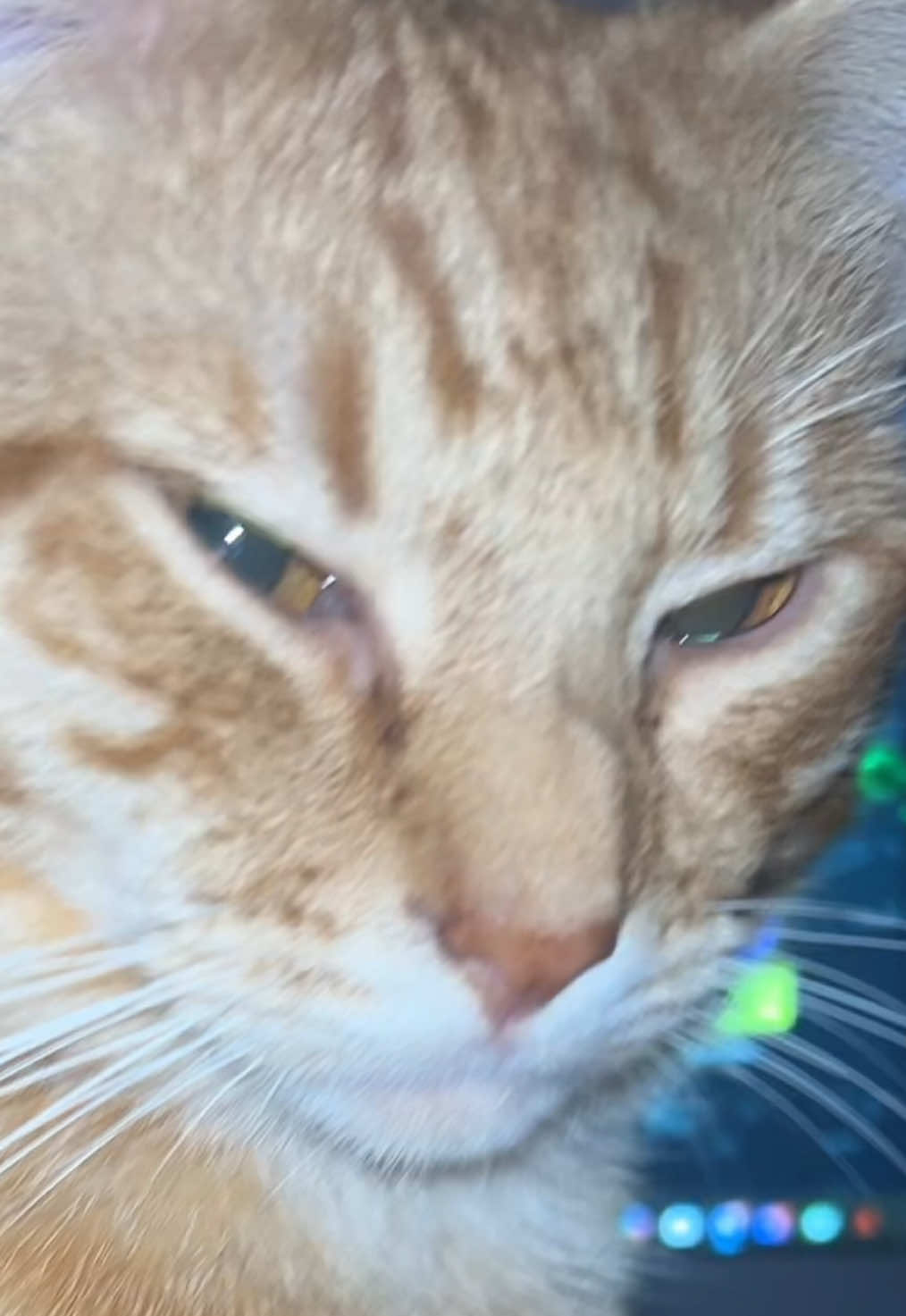 @𝕶𝖔𝖔𝖑𝖆𝖎𝖉𝖇𝖔𝖎 &bull; 😱
