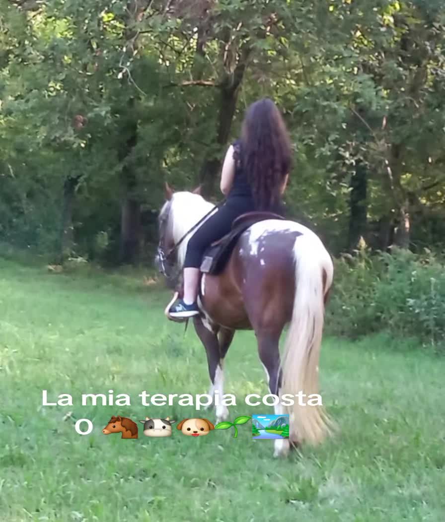 @Faby&Athos🐾