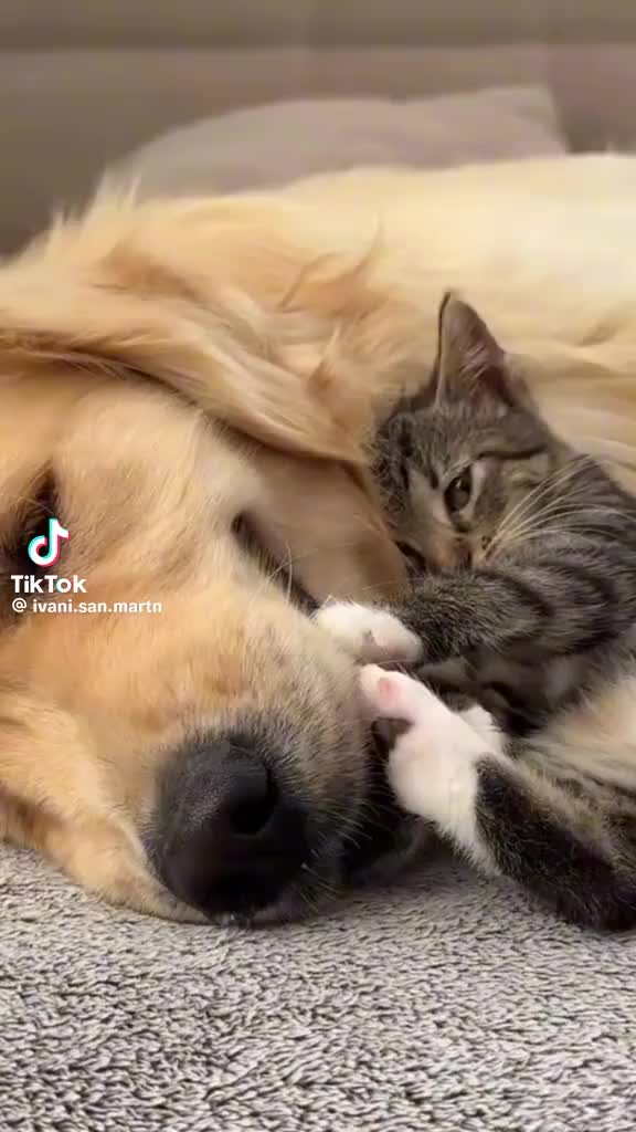 @blancapavon575