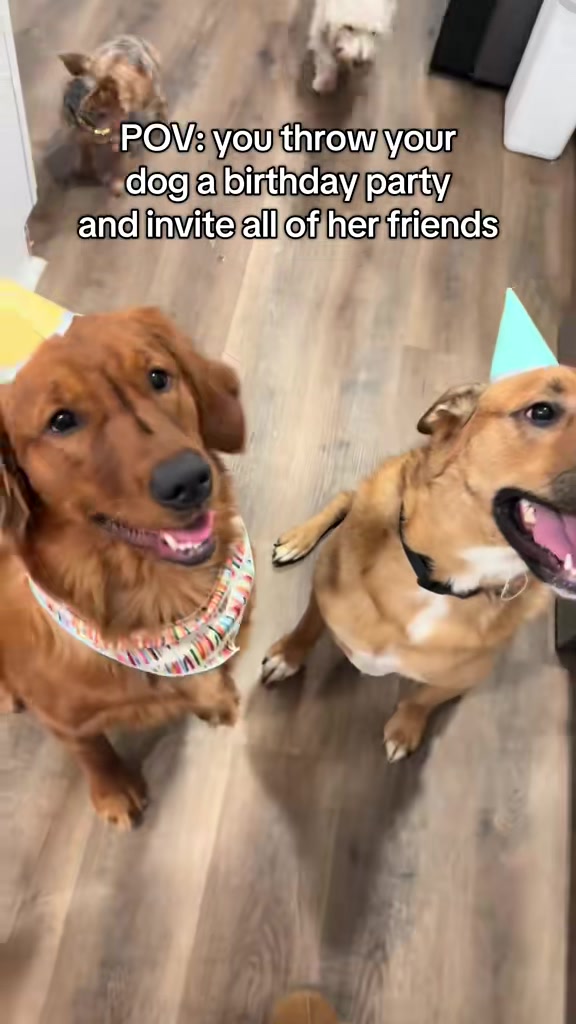 @Honey + Otis