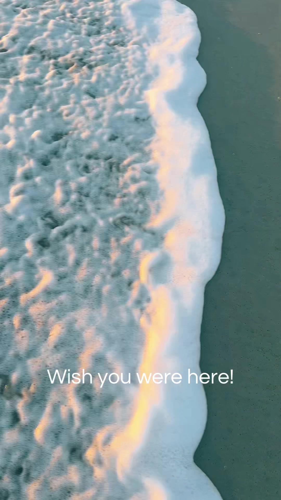 @SaltySunshine❌Florida