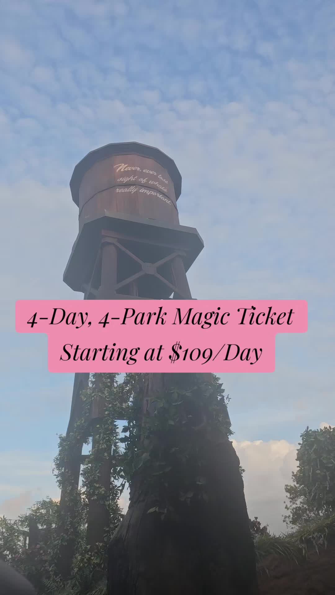 @SHEENA~TRAVEL PLANNER 🏰🌎🛳✨️