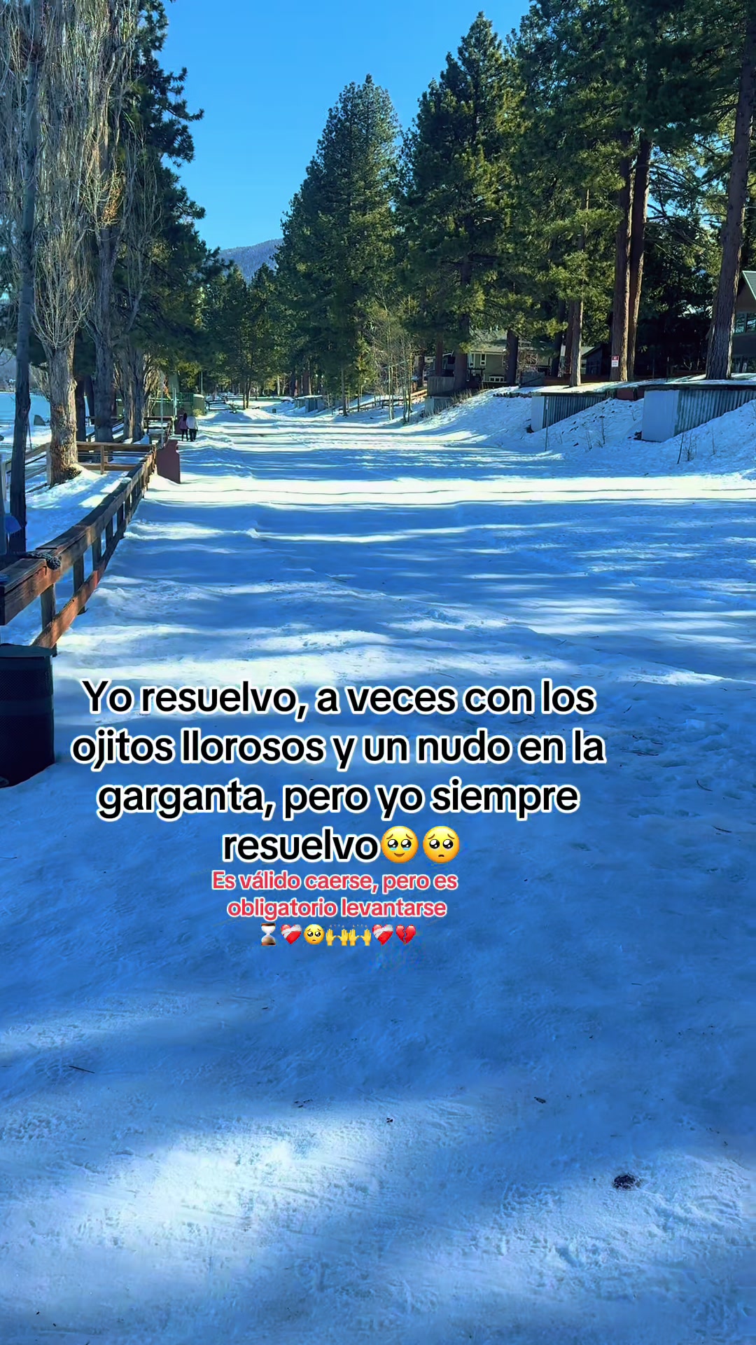 @SoyLionardo_R🐻❤️&zwj;🩹