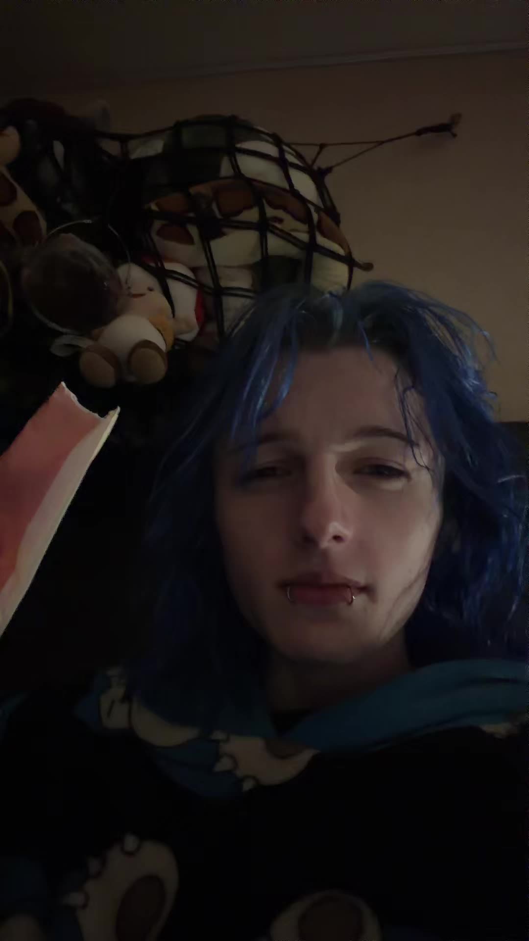 @ankreil
