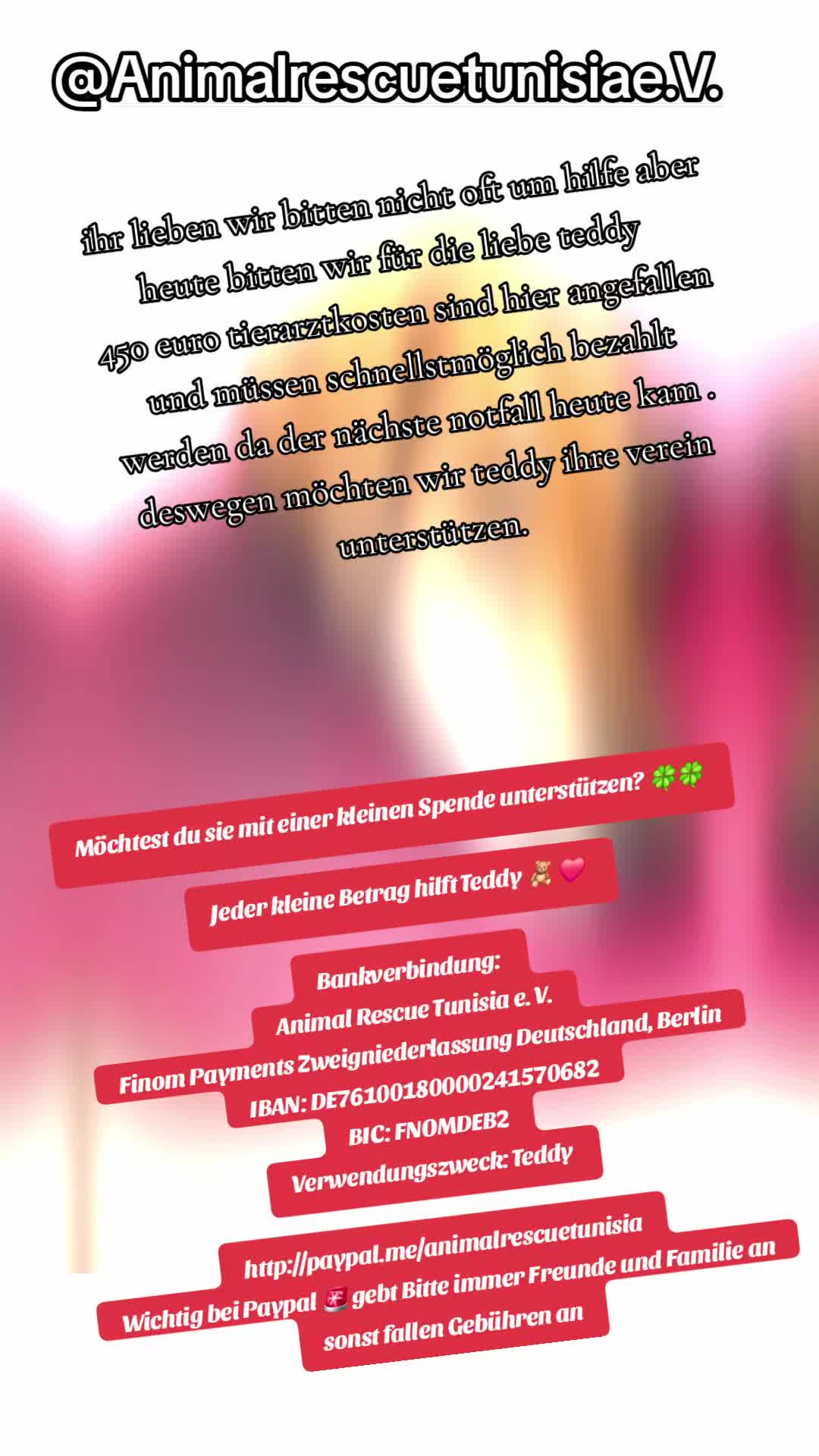 @Gnadenhof Zimmermann-Hesse