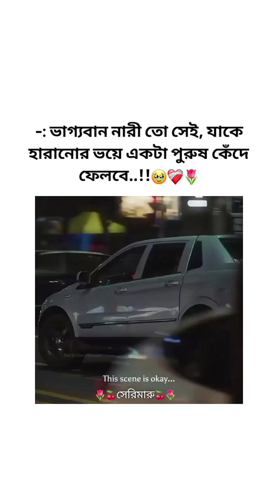 @🌷🍒সেরিমারু🍒🌷