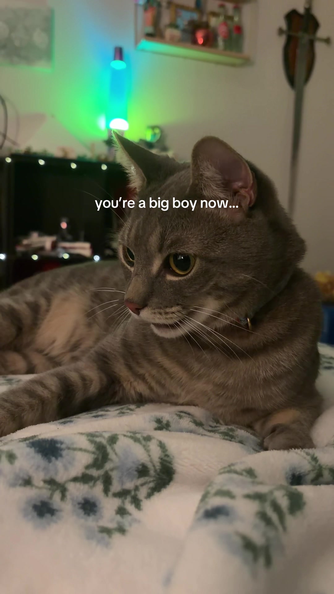@Naomi Grace