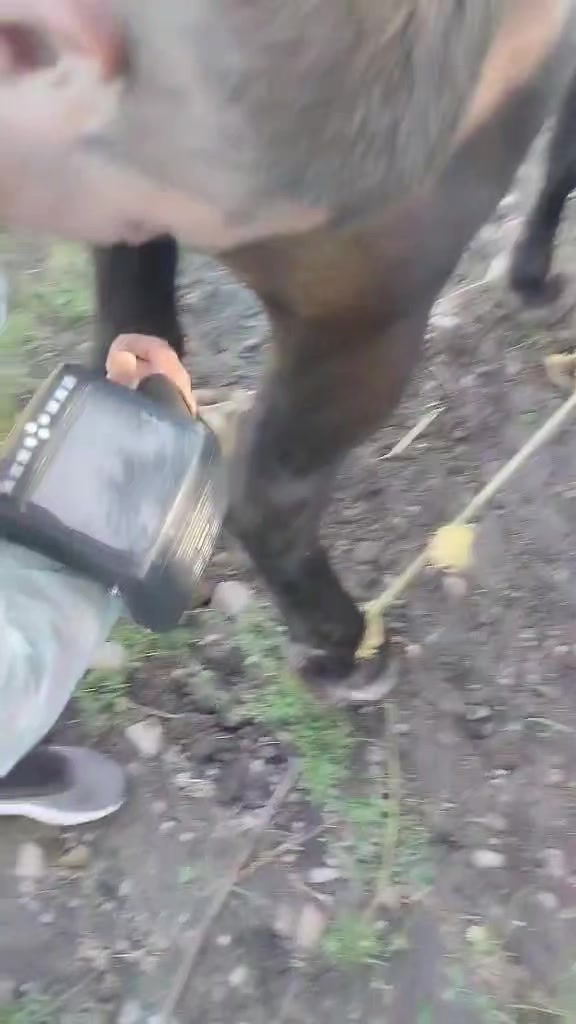 @ВАСЯ БОЙЧУК 🐎