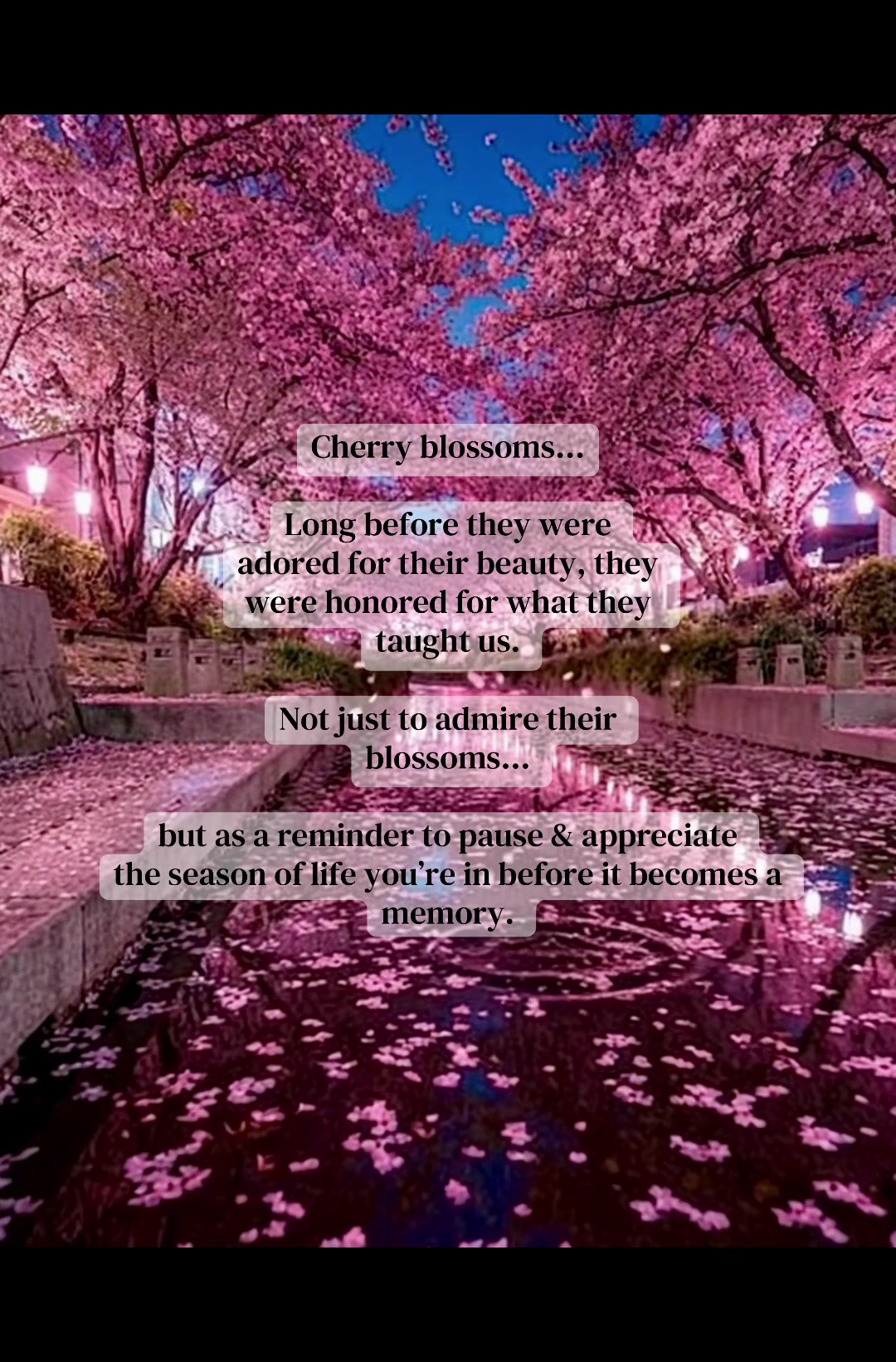 @Jasmin | A Rooted Life