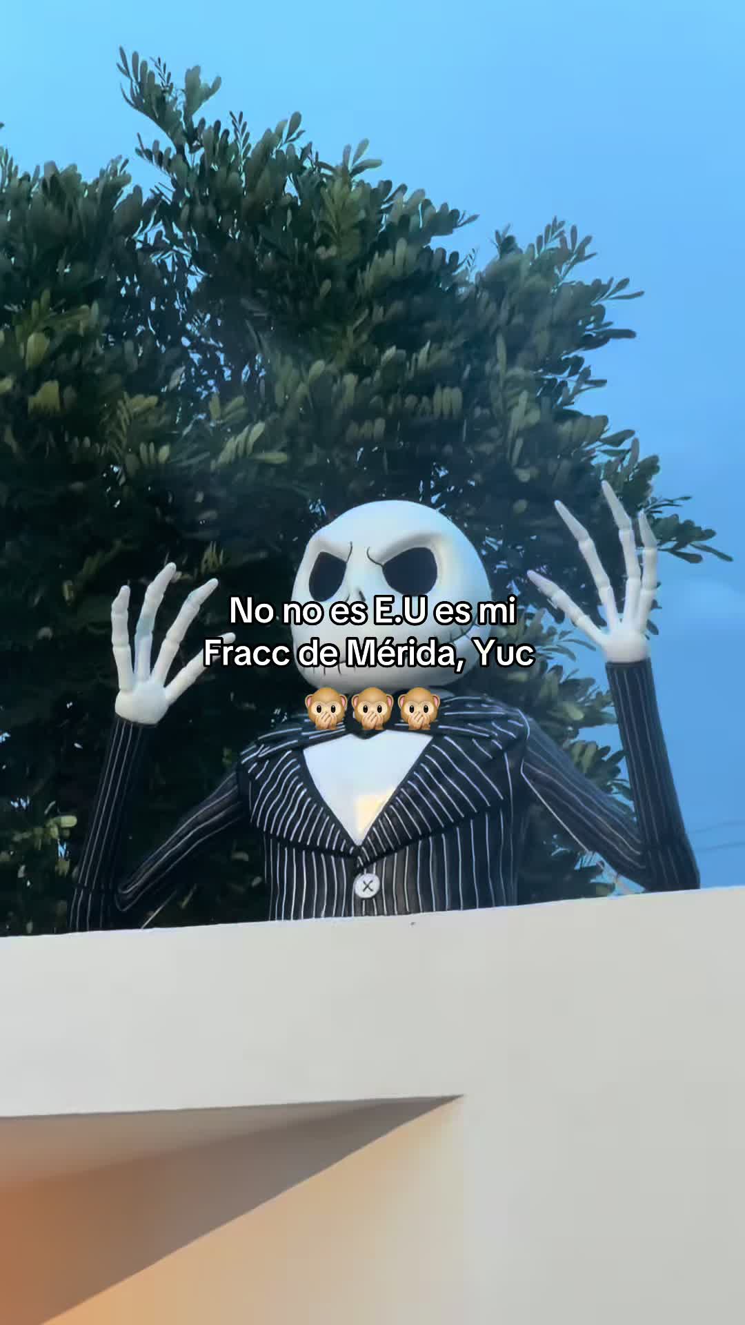 @mynameiscint