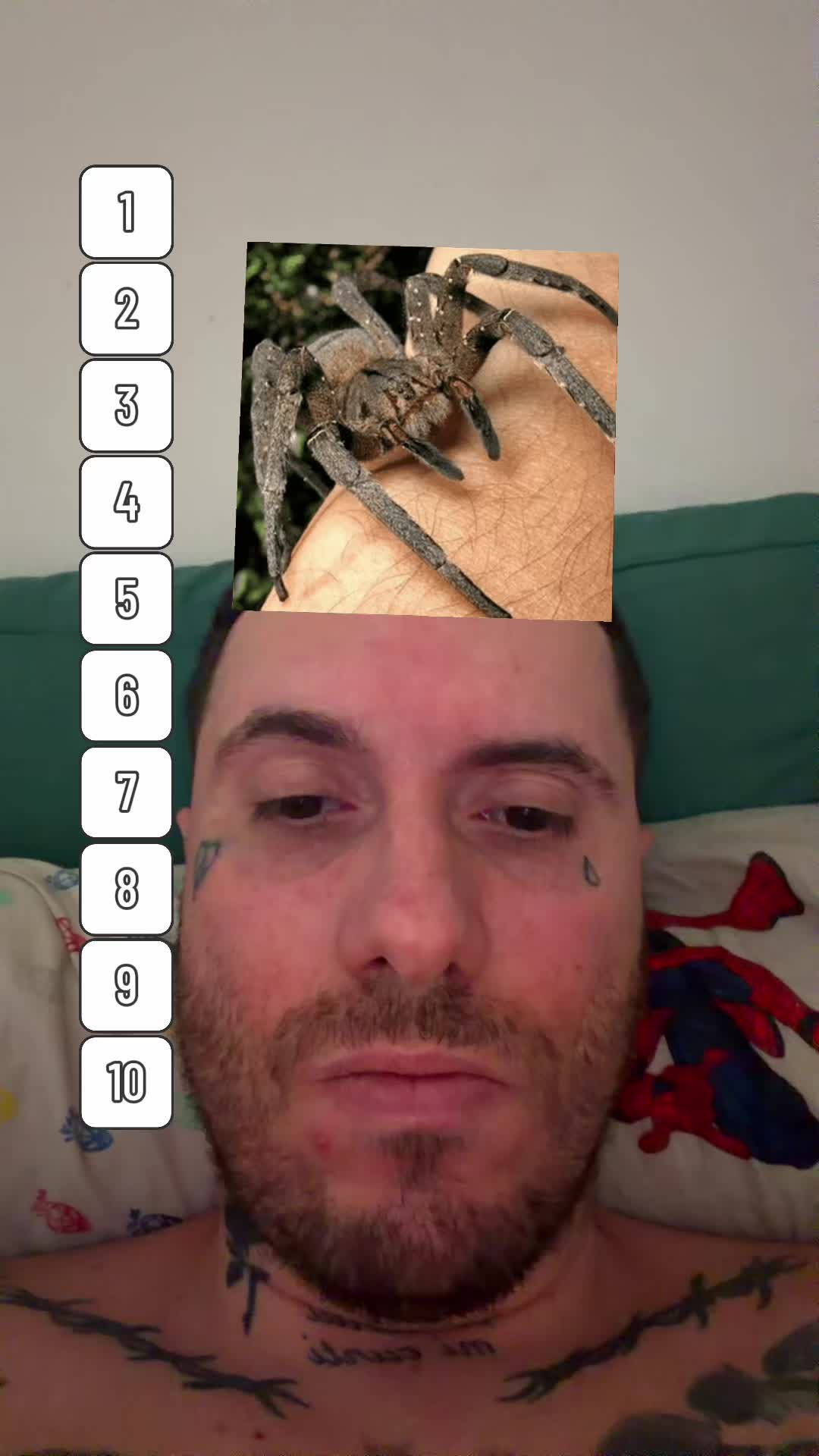 @Realelfo