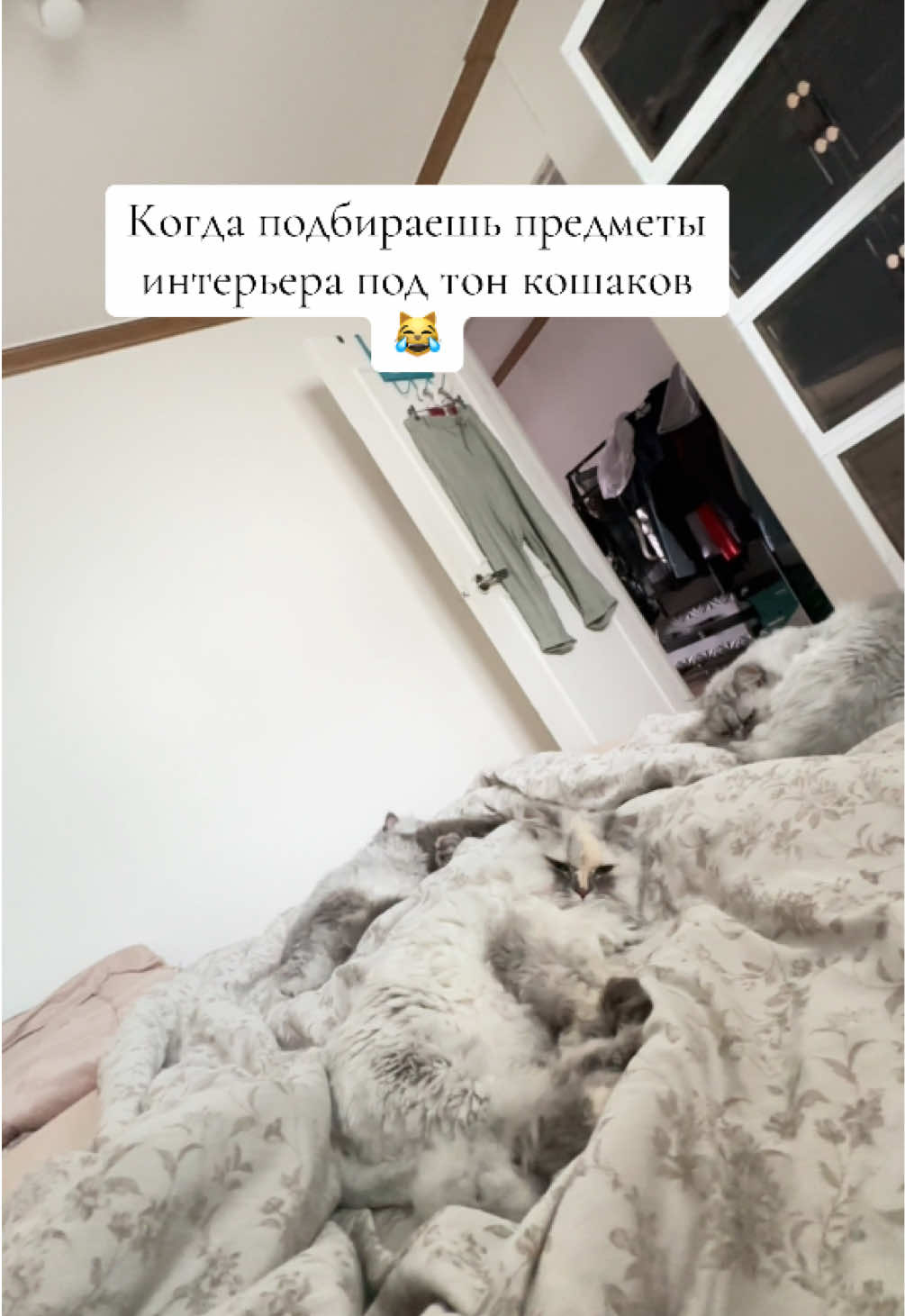 @Ka_Tsoy
