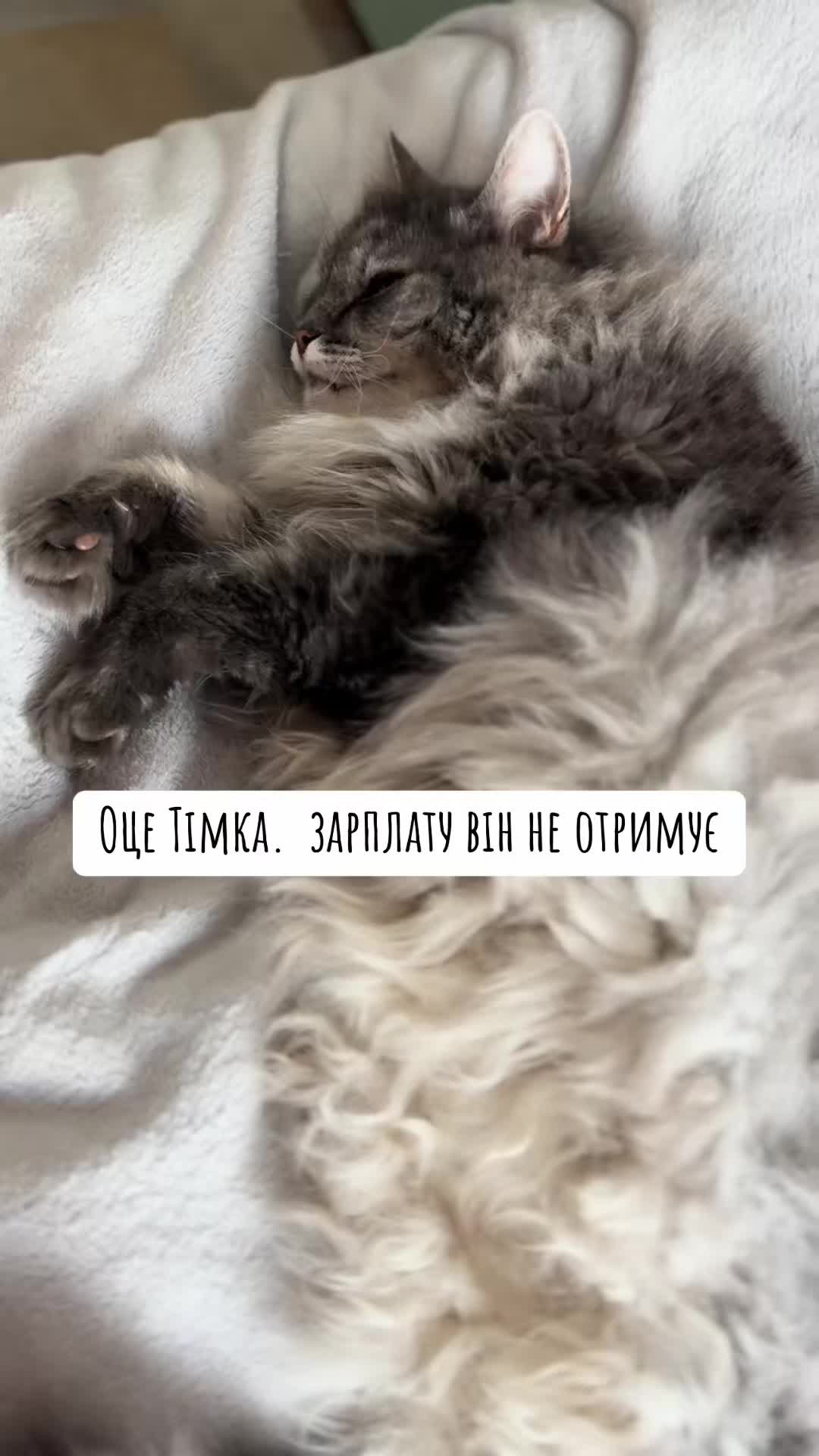 @timka.kit