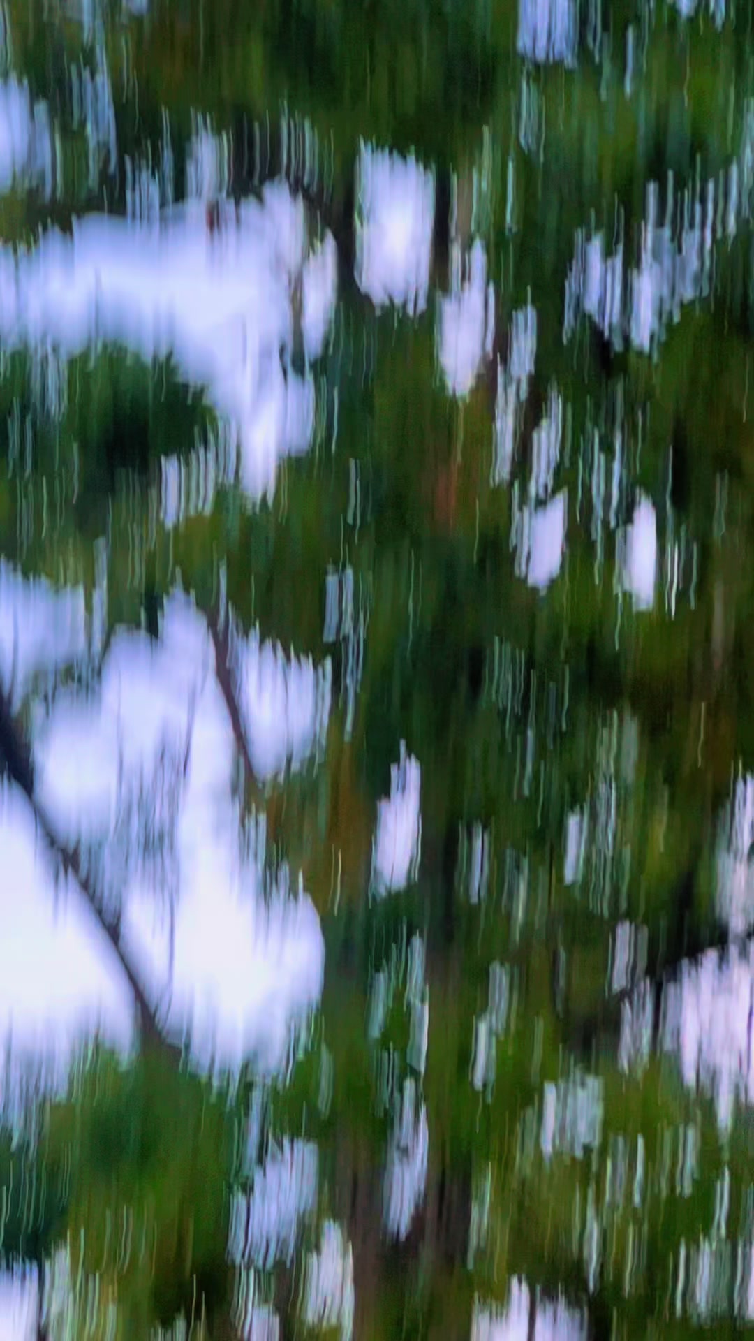 @गंगा_🕊️