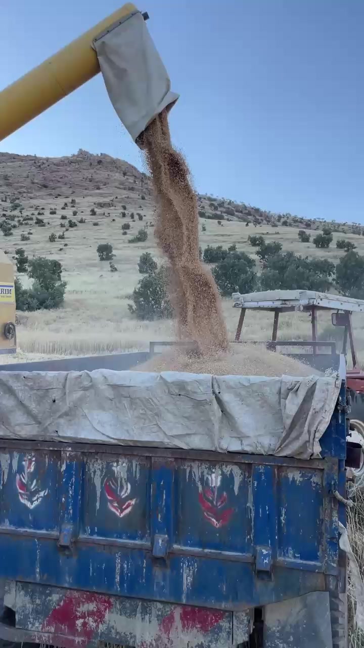 @ORUÇLU TARIM 21