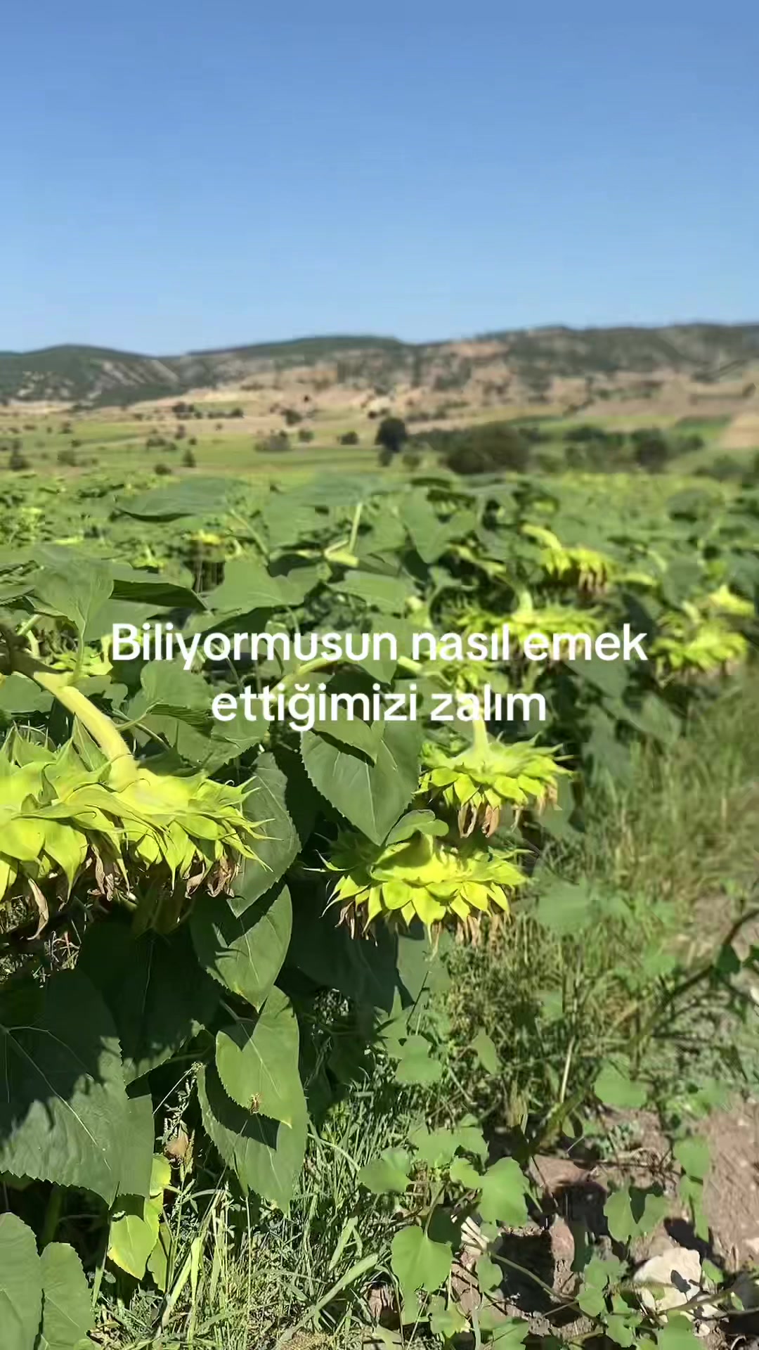 @Cengiz 05