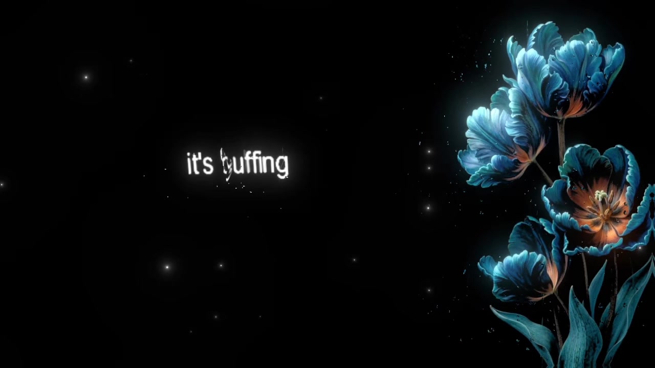 @speed songs | lyrics