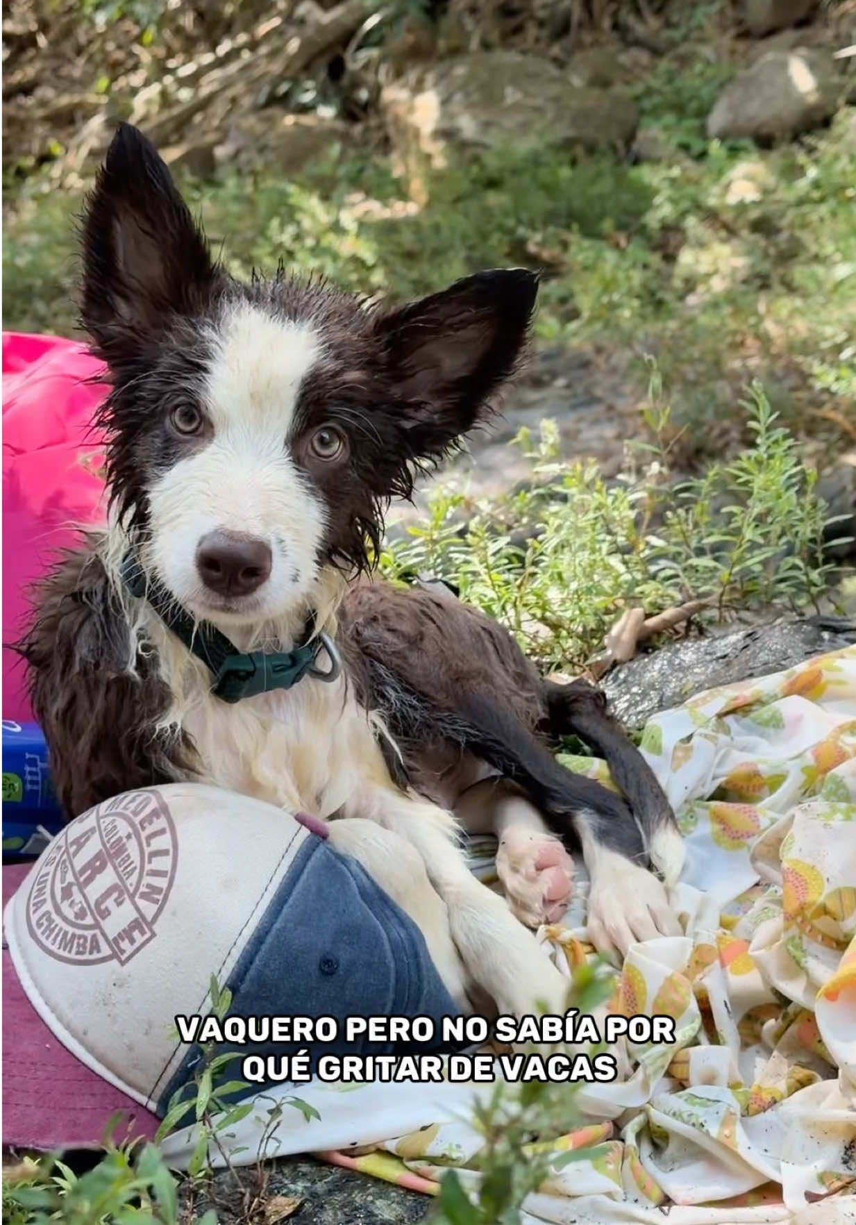 @Logan y Luna
