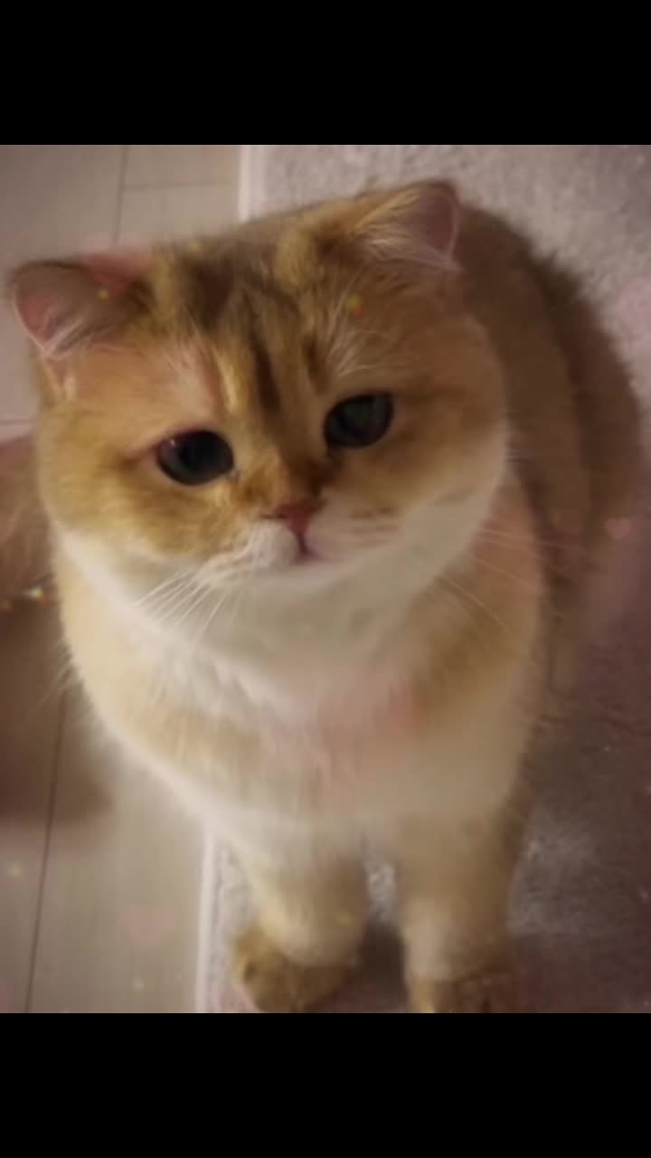 @Mihamii35