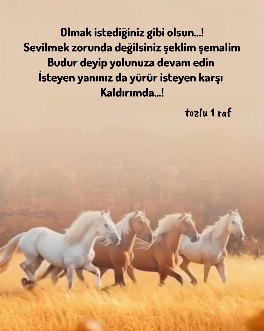 @tozlu1raf_