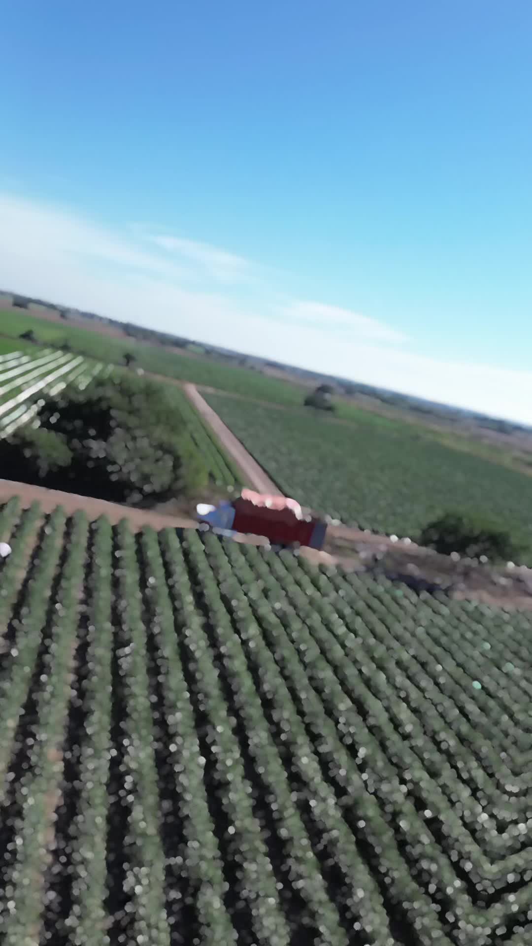 @Jos&eacute; Manuel Guzman