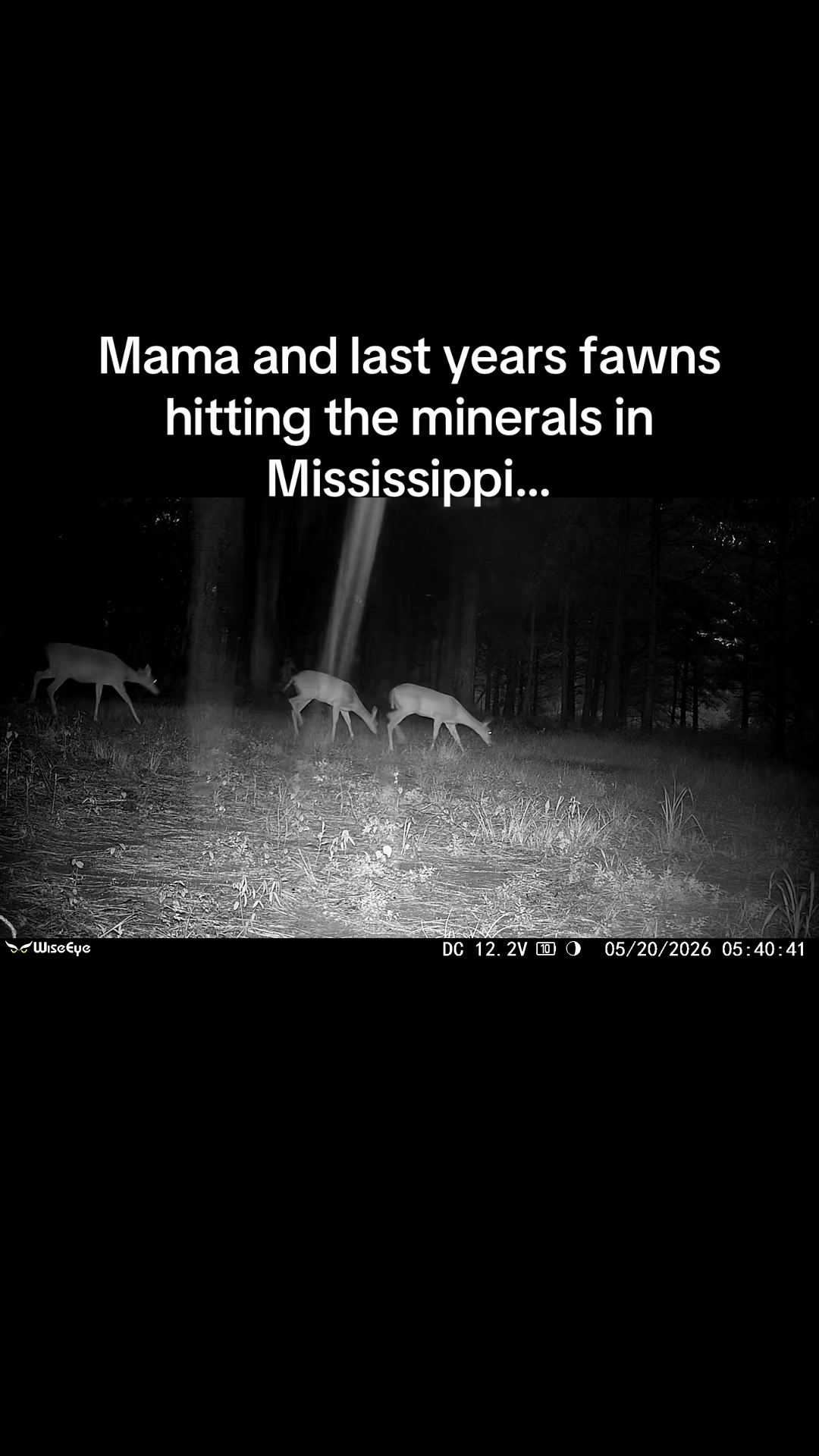 @🦃 Lynchburg Outdoors 🦌