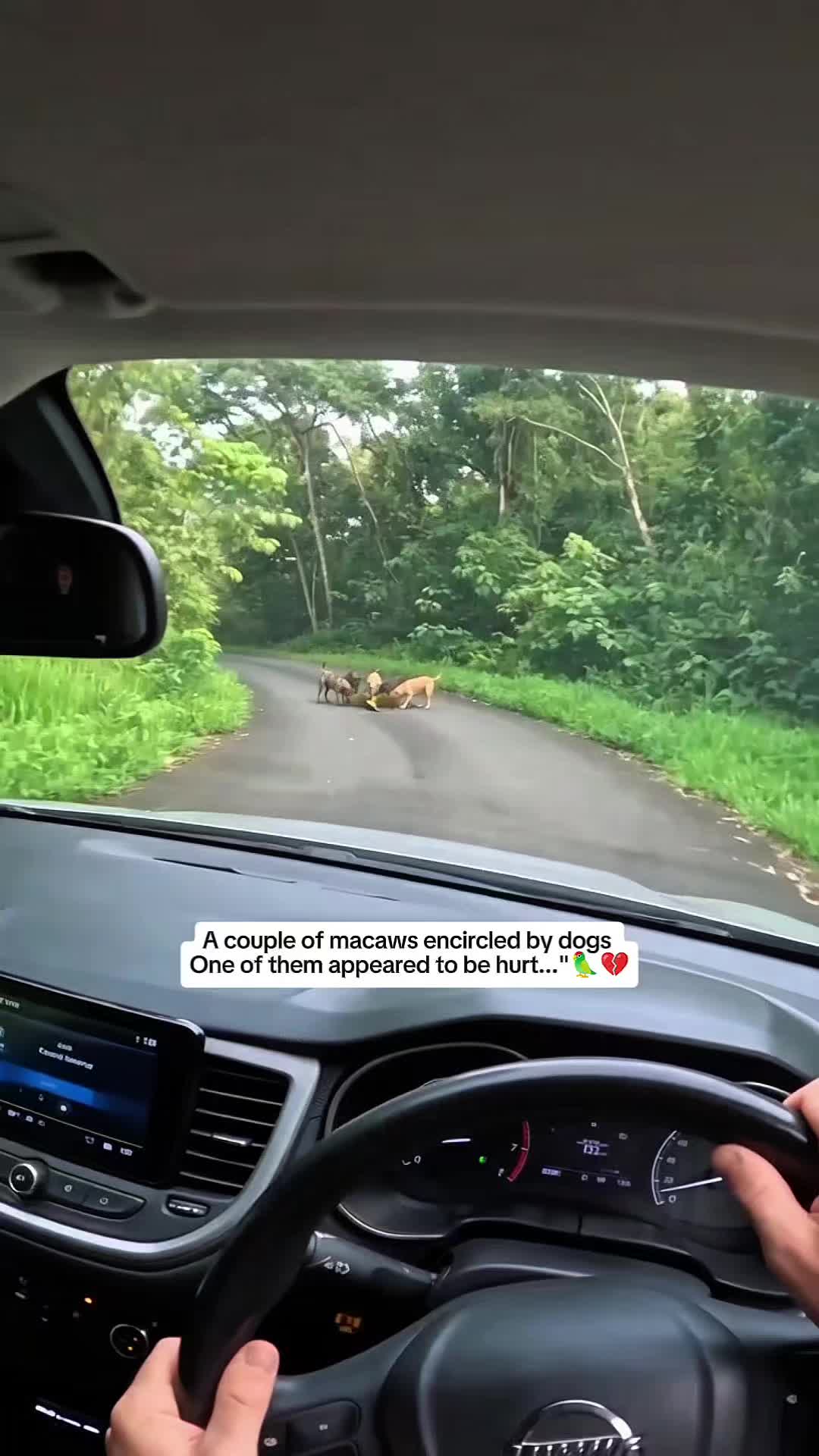 @WildwonderzZzz