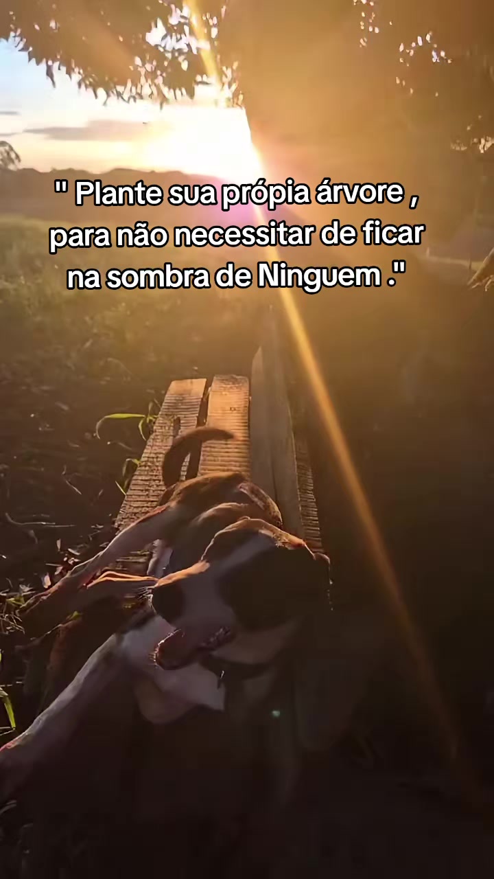 @Elson @ motivação "
